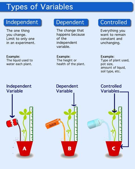 sentence with hypothesis controlled experiment and variable